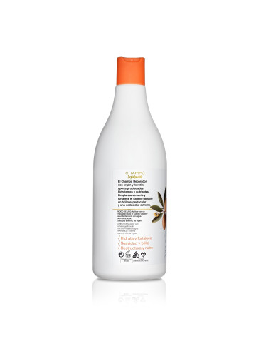 Champú argán y keratina 750 ml Instituto Español